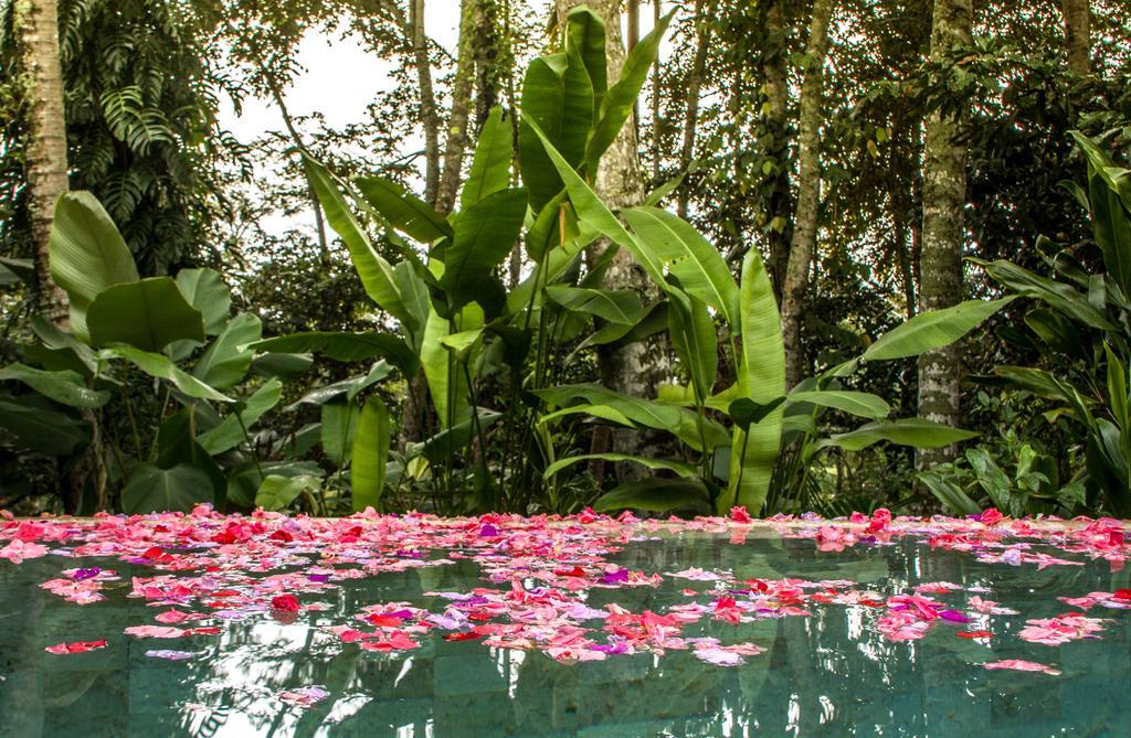 Sandat Glamping Tents Ubud  Ngoại thất bức ảnh